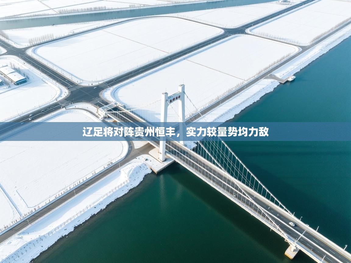 辽足将对阵贵州恒丰，实力较量势均力敌