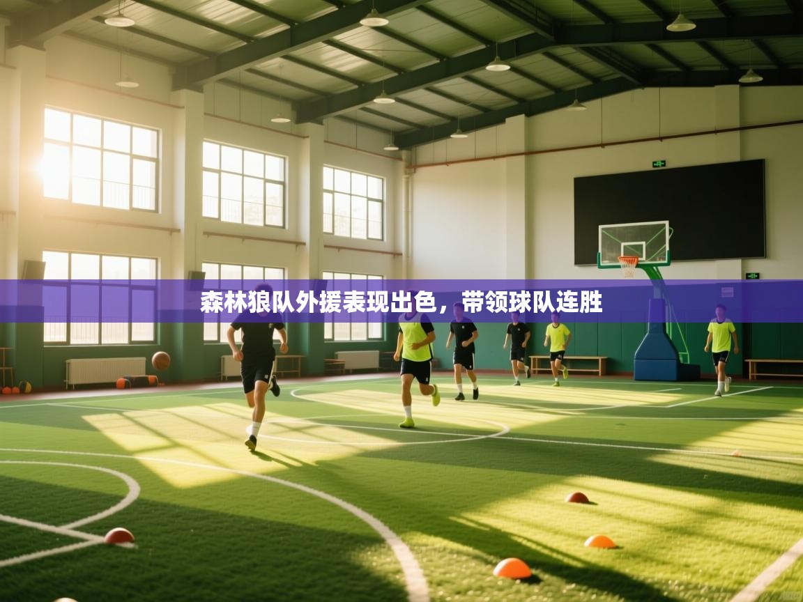 森林狼队外援表现出色，带领球队连胜  第1张