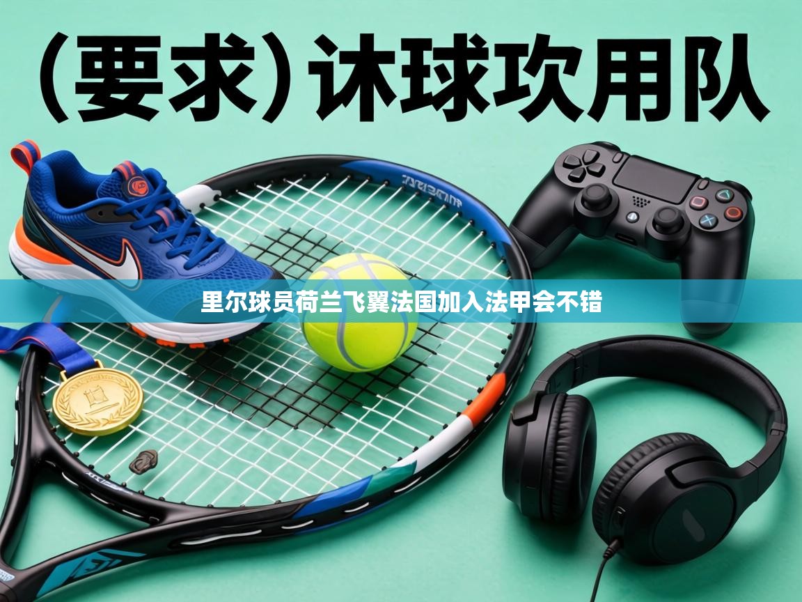 里尔球员荷兰飞翼法国加入法甲会不错